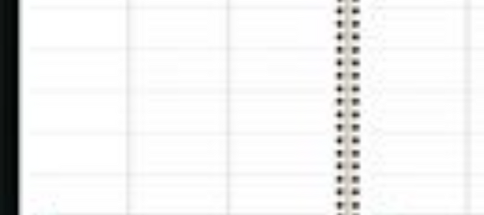 5 STAR STUDENT PLANNER Wide Margin LG