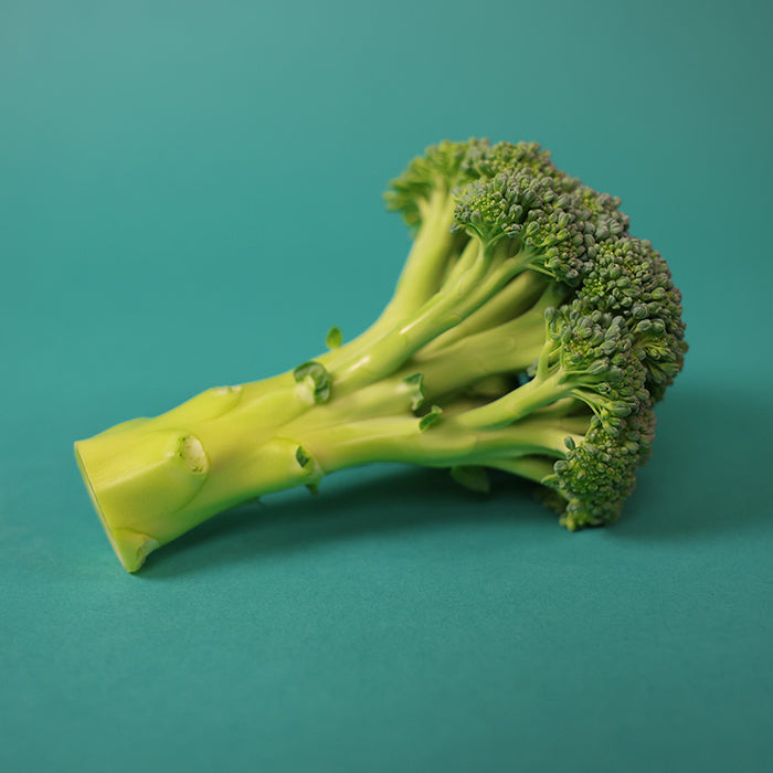 Broccoli Gypsy F1 Seed