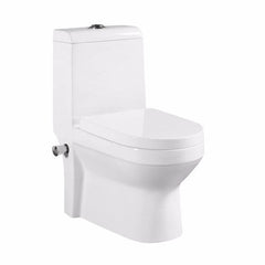 Ceramic One Piece Toilet Bidet, Toilets with Built-in Bidet