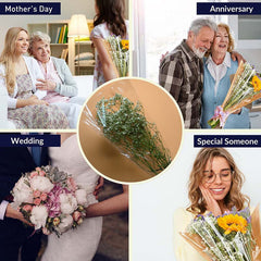 Clear Bouquet Sleeves (Small)