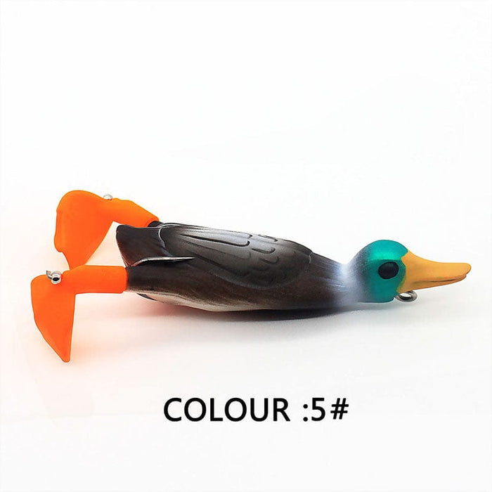 5colour