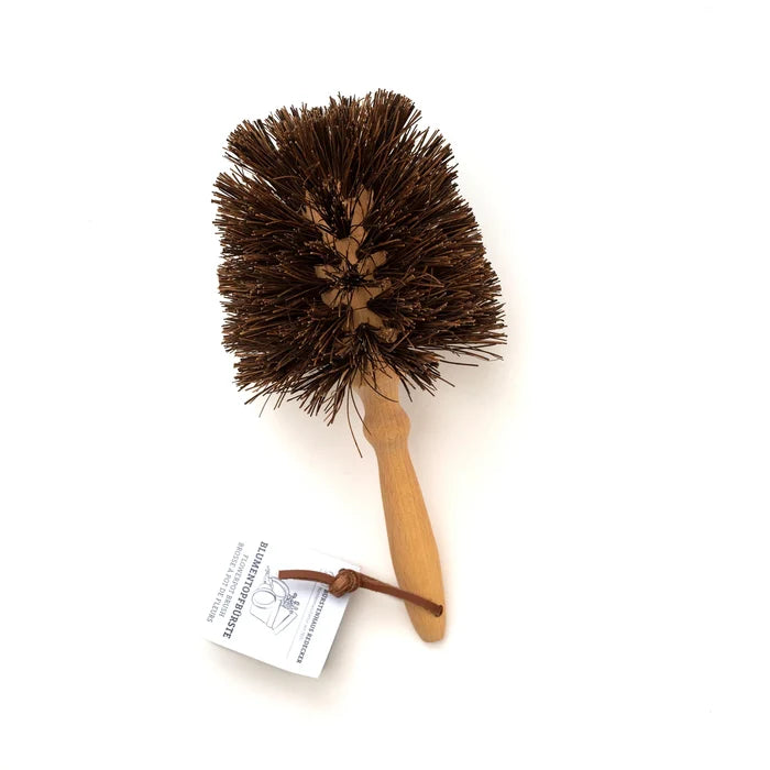 Flowerpot Brush, Bassine