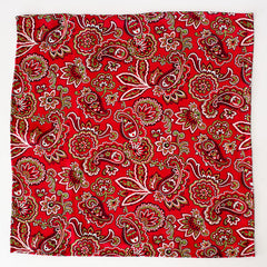 Handsome Red, Green, White and Black Paisley Rayon Pocket Square by Put This On