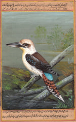 bird art