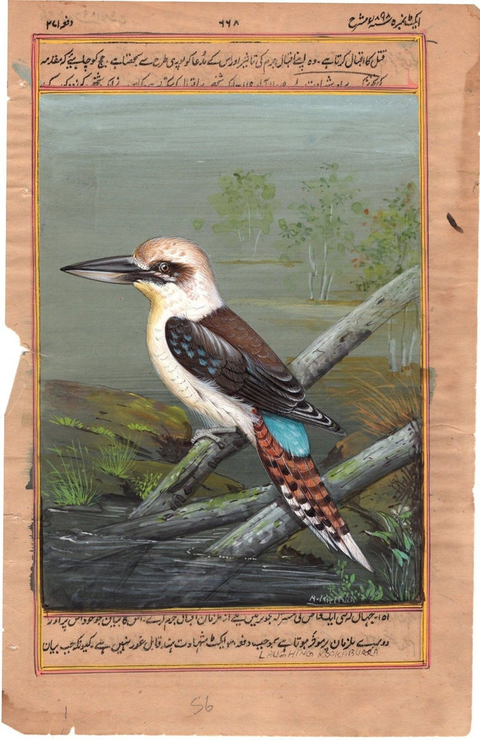 Indian Miniature Nature Painting Handmade Laughing Kookaburra Kingfisher Art