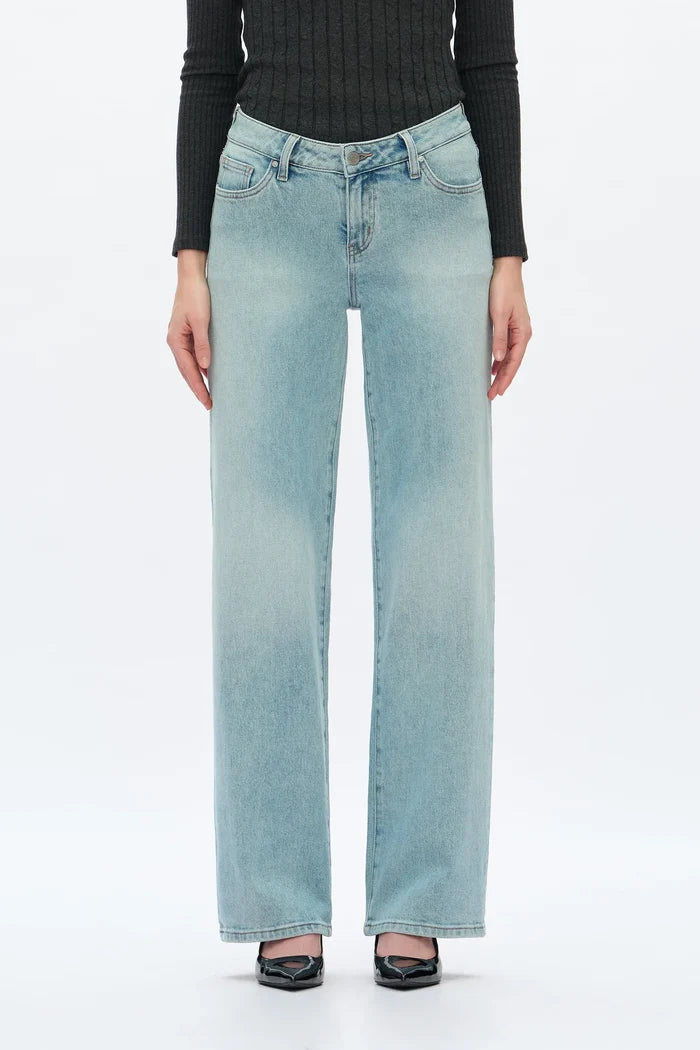 Low Rise Jeans  (Light Blue)