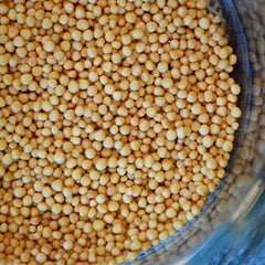 Mustard seed (Yellow)