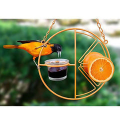 Gadget Gerbil Orange Fruit Bird Feeder
