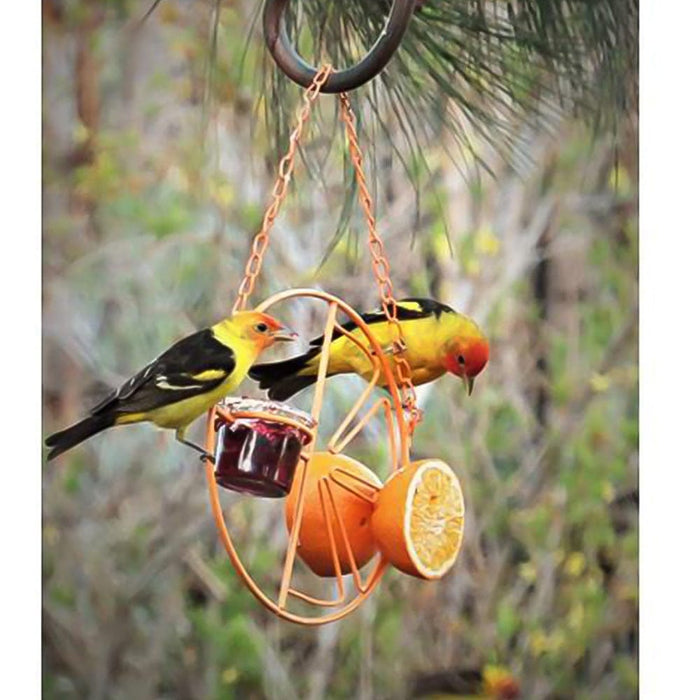 Gadget Gerbil Orange Fruit Bird Feeder