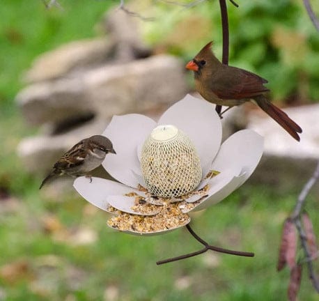 Gadget Gerbil Petal Shaped Bird Feeder