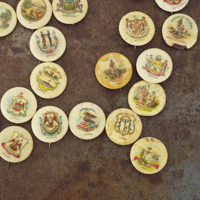 The Pins of (Almost) Every United State