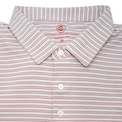 Thin Stripe Polo (Brick)