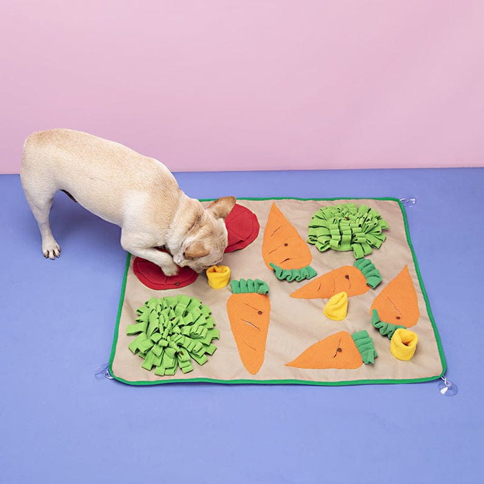 Gadget Gerbil Vegetable Pet Sniffing Mat